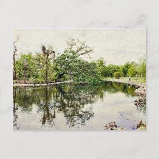Carte Postale Audubon Park Rookery