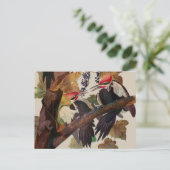 Carte Postale Audubon Peinture d'Oiseaux Pic Pilé (Debout devant)