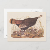 Carte Postale Audubon Turquie Hen et poussins à l'automne (Devant / Derrière)