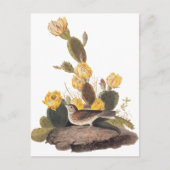 Carte Postale Audubon Vesper Sparrow et Prickly Pear Cactus (Devant)