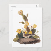 Carte Postale Audubon Vesper Sparrow et Prickly Pear Cactus (Devant / Derrière)