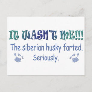 Carte Postale aug315fartSiberianHusky.jpg