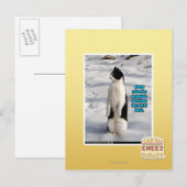 Carte Postale Augmenté par des pingouins (Devant / Derrière)