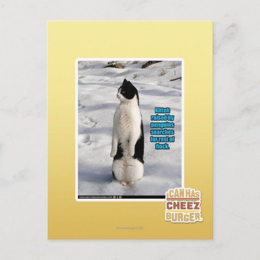 Carte Postale Augmenté par des pingouins (Devant)
