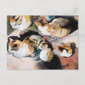 Carte Postale August Macke's Katzenstudien (Study of a Cat) (Devant)