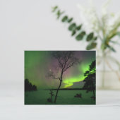 Carte Postale Aurora (Debout devant)