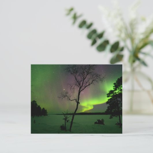 Carte Postale Aurora (Debout devant)