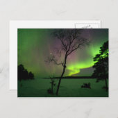 Carte Postale Aurora (Devant / Derrière)