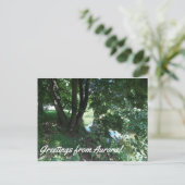 Carte postale Aurora (Debout devant)