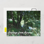 Carte postale Aurora (Devant / Derrière)