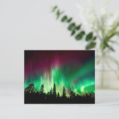 Carte Postale aurora boréale (Debout devant)