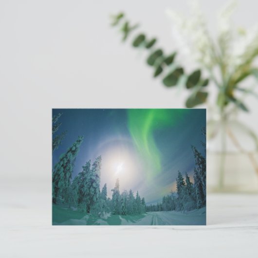 Carte Postale Aurora Borealis (Debout devant)