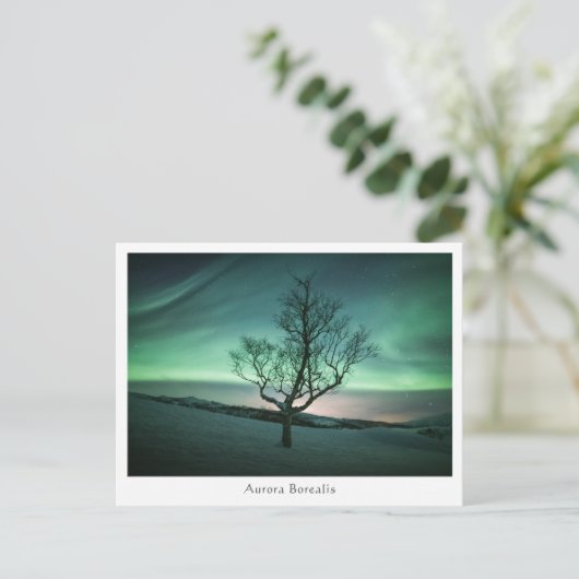 Carte Postale Aurora Borealis (Debout devant)