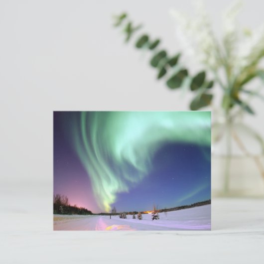 Carte Postale Aurora Borealis (Debout devant)