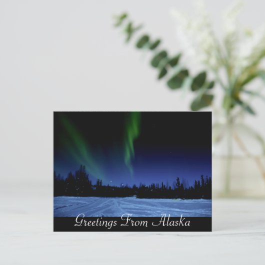 Carte postale Aurora Borealis (Debout devant)