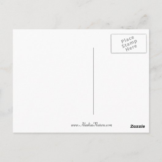 Carte postale Aurora Borealis (Dos)