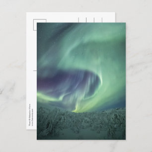 Carte Postale Aurora Borealis