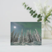 Carte Postale Aurora Borealis (Debout devant)