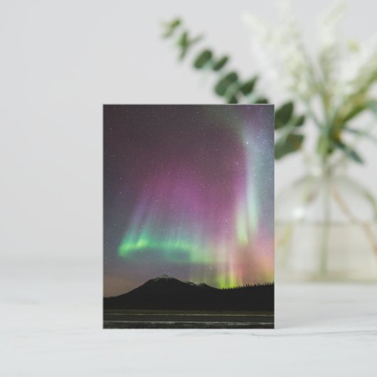 Carte Postale Aurora Borealis | Alaska Brooks Range, Alaska (Debout devant)