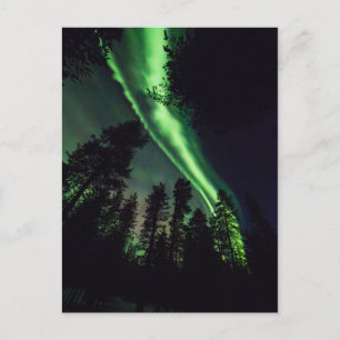 Carte Postale Aurora borealis en Laponie finlandaise