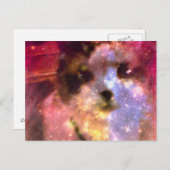 Carte Postale aurora borealis kitty (Devant / Derrière)