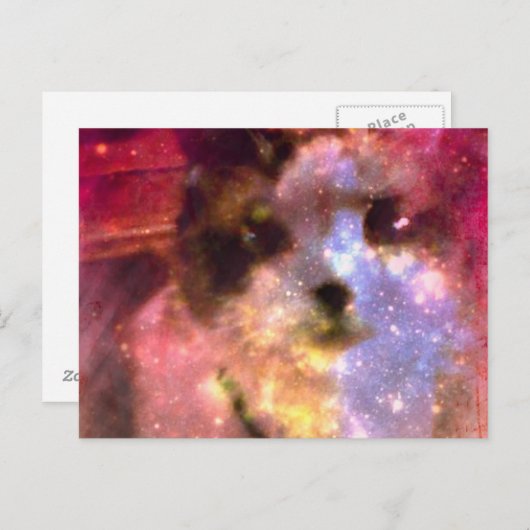 Carte Postale aurora borealis kitty (Devant / Derrière)