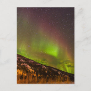 Carte Postale Aurora Borealis   Montagnes Fairbanks Alaska