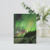Carte Postale Aurora explosif (Debout devant)