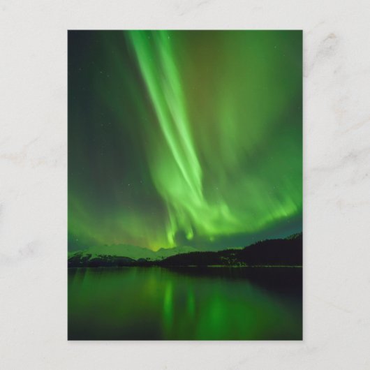 Carte Postale Aurora intemporelle (Devant)