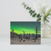 Carte Postale Aurora lunaire (Debout devant)