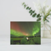 Carte Postale Aurora magique (Debout devant)