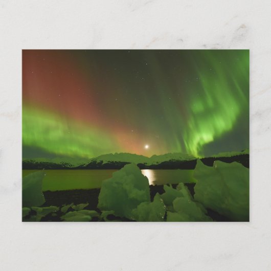 Carte Postale Aurora magique (Devant)