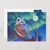 Carte Postale Aurora Owl (Devant / Derrière)