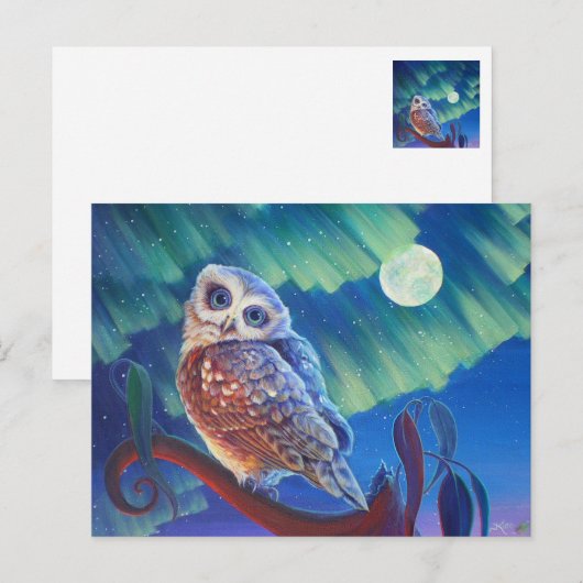 Carte Postale Aurora Owl (Devant / Derrière)