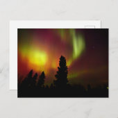 Carte Postale Aurore Boréale et Arbres (Devant / Derrière)