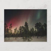 Carte Postale Aurore Boréale sur une forêt enneigée (Devant)