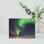 Carte Postale aurores boréales au lac Bear (Debout devant)