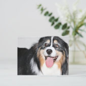 Carte Postale Aussie - Bella (Debout devant)