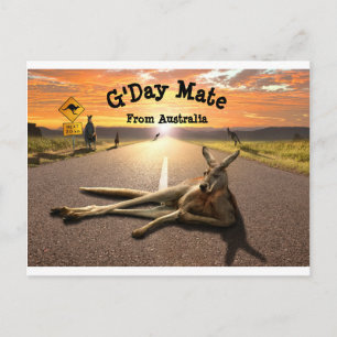 Carte postale Aussie Kangaroo