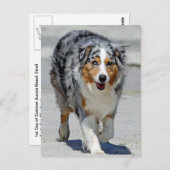 Carte Postale Aussies - 1er Jour de promenade d'été (Devant / Derrière)