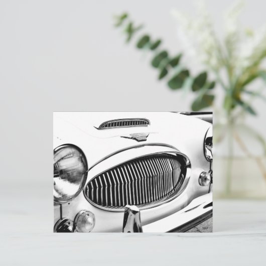 Carte Postale Austin Healey (Debout devant)