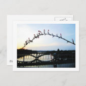 Carte Postale Austin Texas (Devant / Derrière)