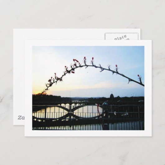 Carte Postale Austin Texas (Devant / Derrière)