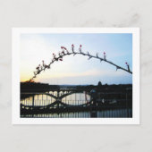 Carte Postale Austin Texas (Devant)