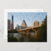 Carte Postale Austin, Texas avec chauves-souris (Devant / Derrière)