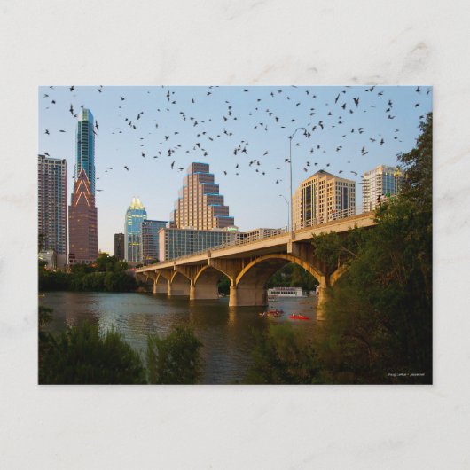 Carte Postale Austin, Texas avec chauves-souris (Devant)