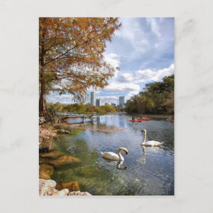 Carte Postale Austin, Texas Barton Creek / Ladybird Lake Swans