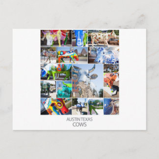 Carte Postale Austin Texas Cows