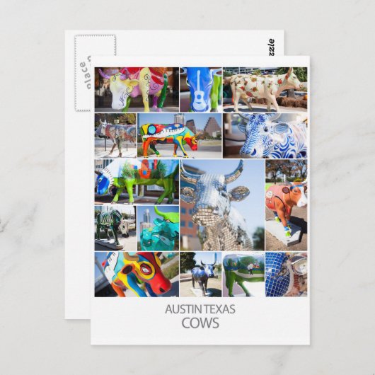 Carte Postale Austin Texas Cows (Devant / Derrière)