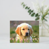 Carte Postale Austin The Golden Labrador (Debout devant)